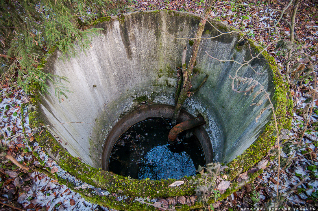 усадьба Синево, Истринский район