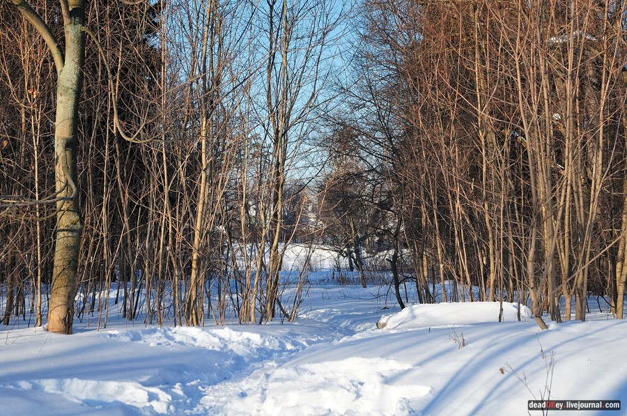 усадьба Архангельское-Тюриково