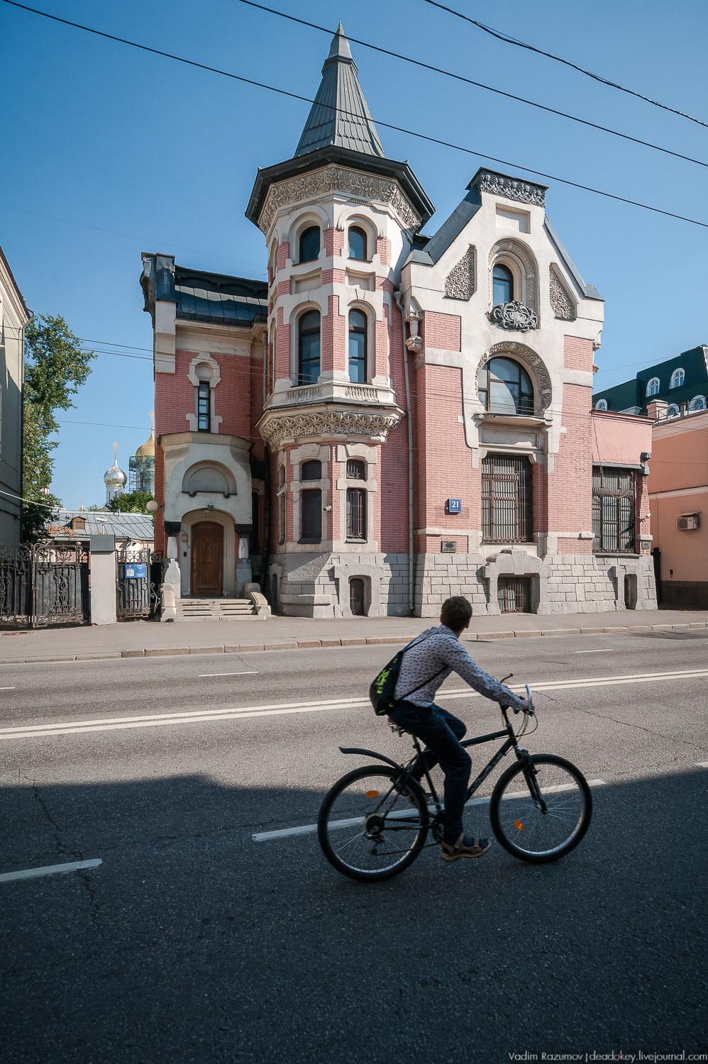 Особняк Льва Кекушева на Остоженке, установка льва