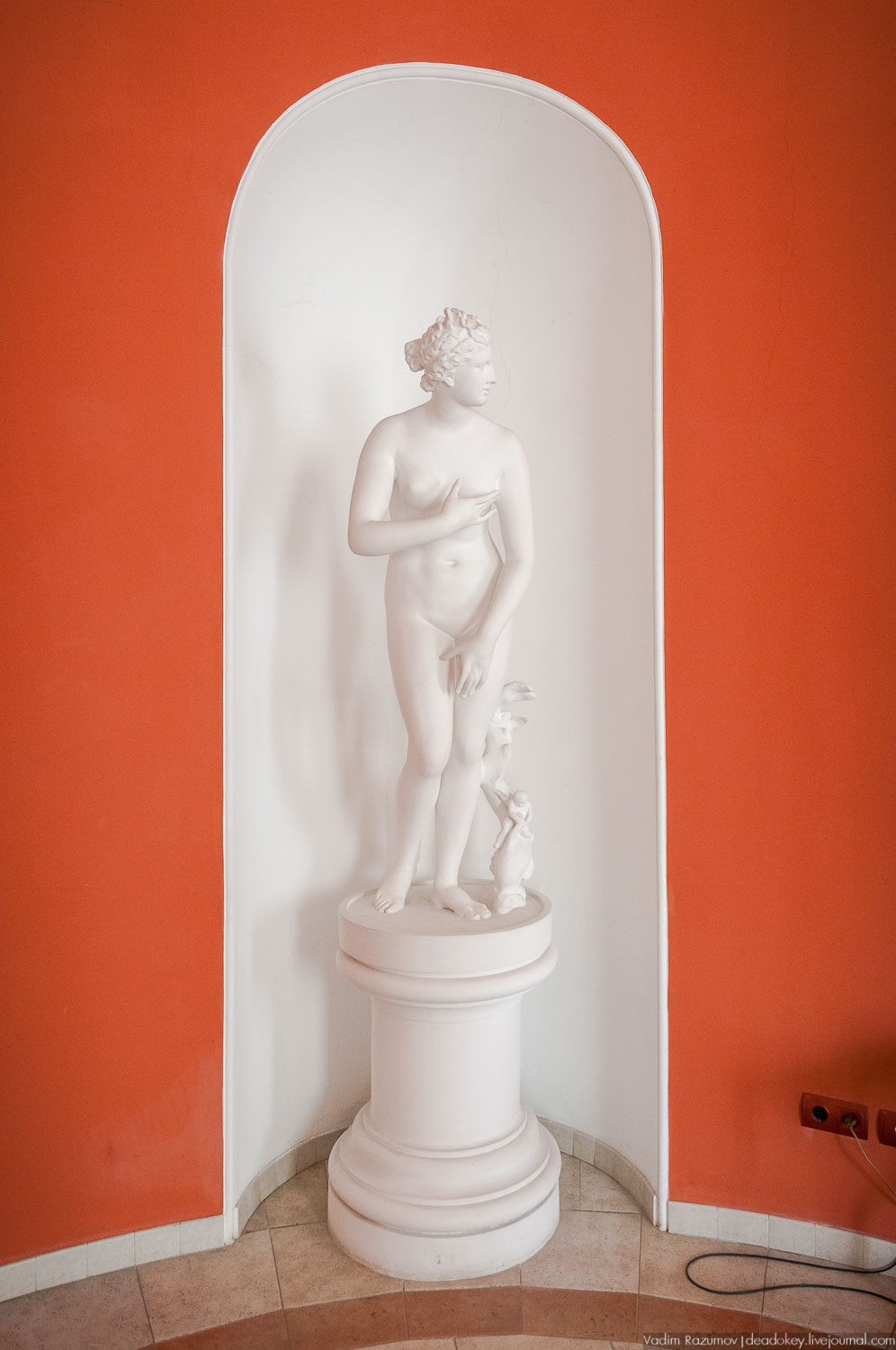 усадьба Введенское, интерьеры главного дома, Фото Вадим Разумов, Летопись Русской усадьбы