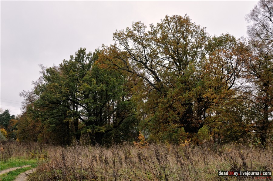 усадьба Федоровское
