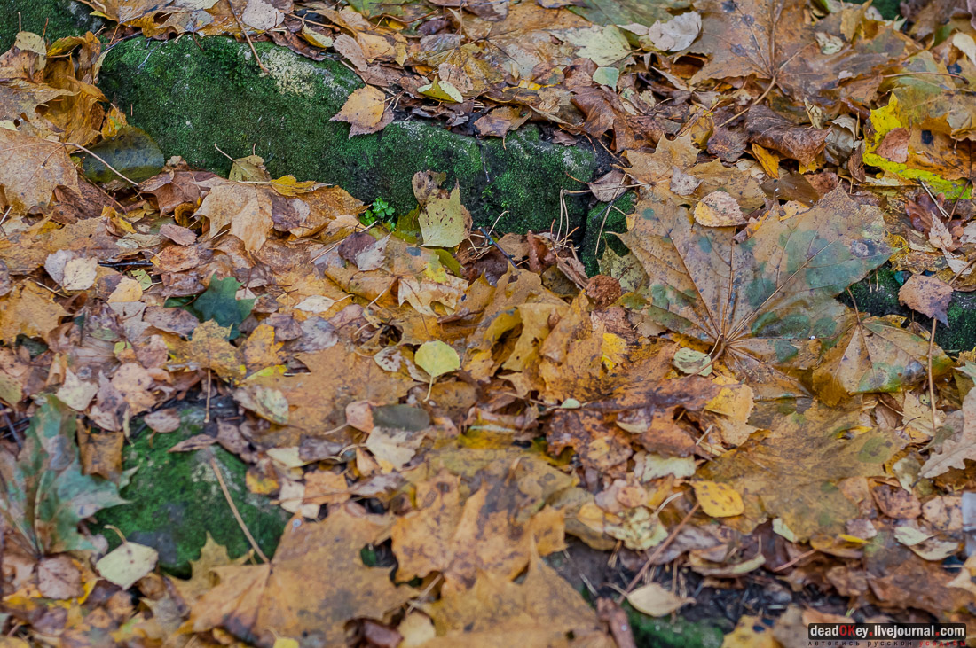 Усадьба Любвино