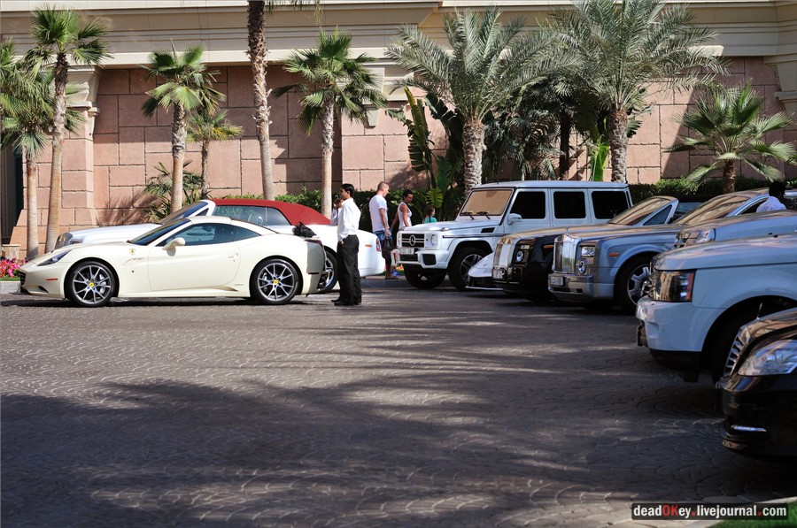 ОАЭ. Машины в Эмиратах