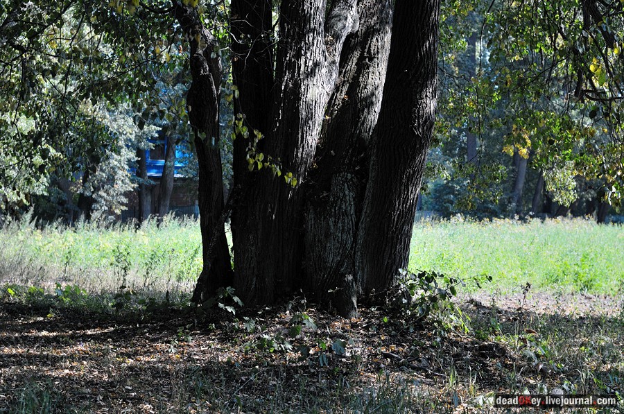 усадьба Опарино