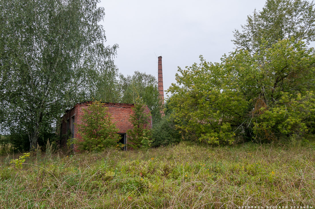 Меховицы, дом фабриканта Карпова, Чистые Росы, продается усадьба