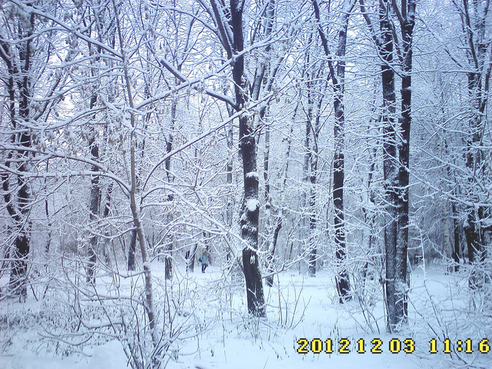 18 (700x525, 280Kb)
