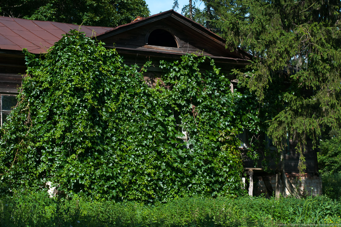 усадьба Барсуково