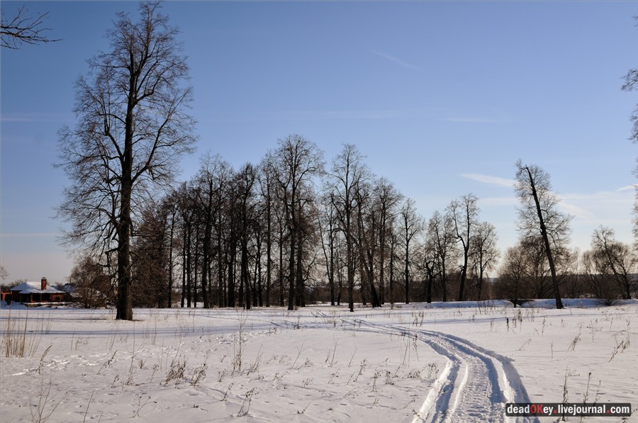 усадьба Федино