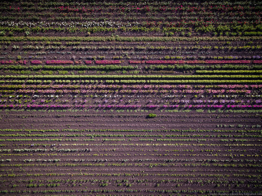 усадьба Барсуково