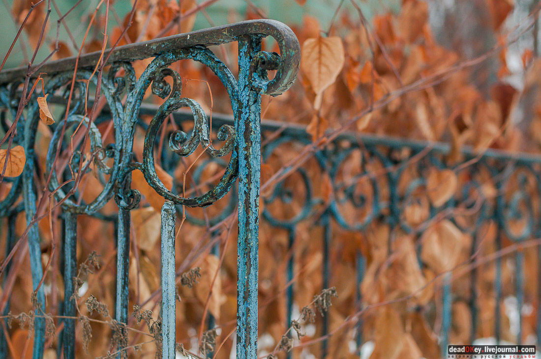 усадьба Салазкино (г. Видное)