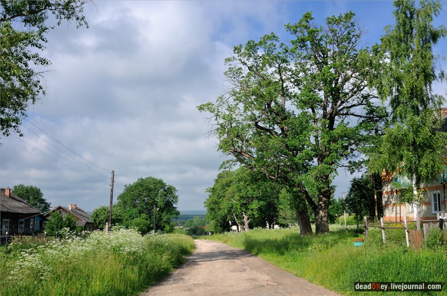 усадьба Дубки