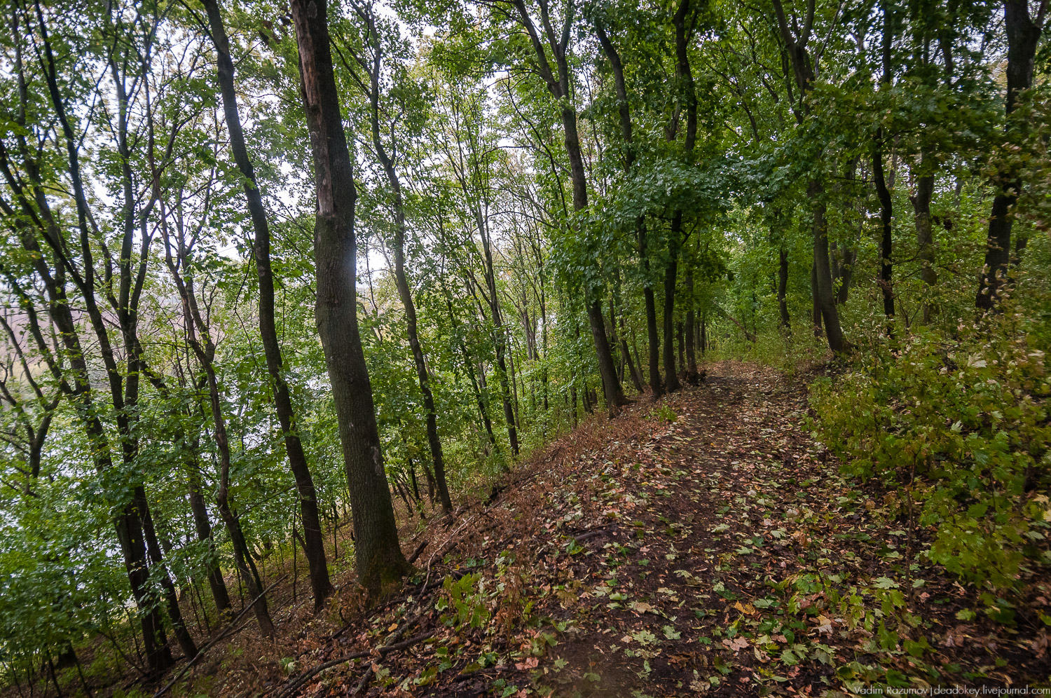Липецкая область, усадьбы, инвестблогтур 
