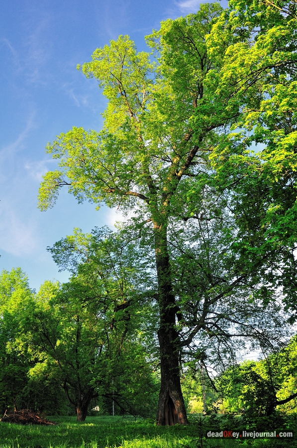 усадьба Прохорово