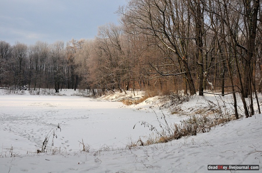 усадьба Быково