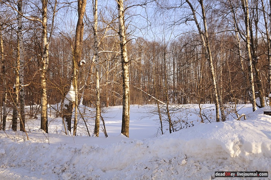 усадьба Зюзино