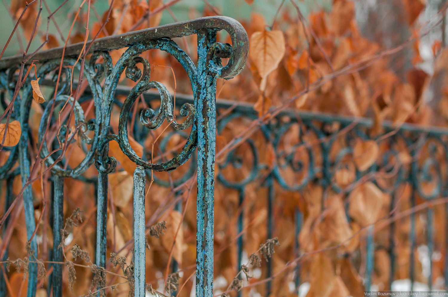усадьба Салазкино, Видное, Московская область