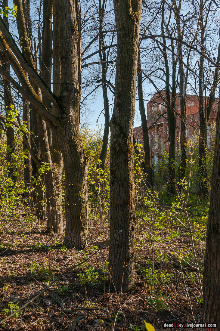 усадьба Зендиково