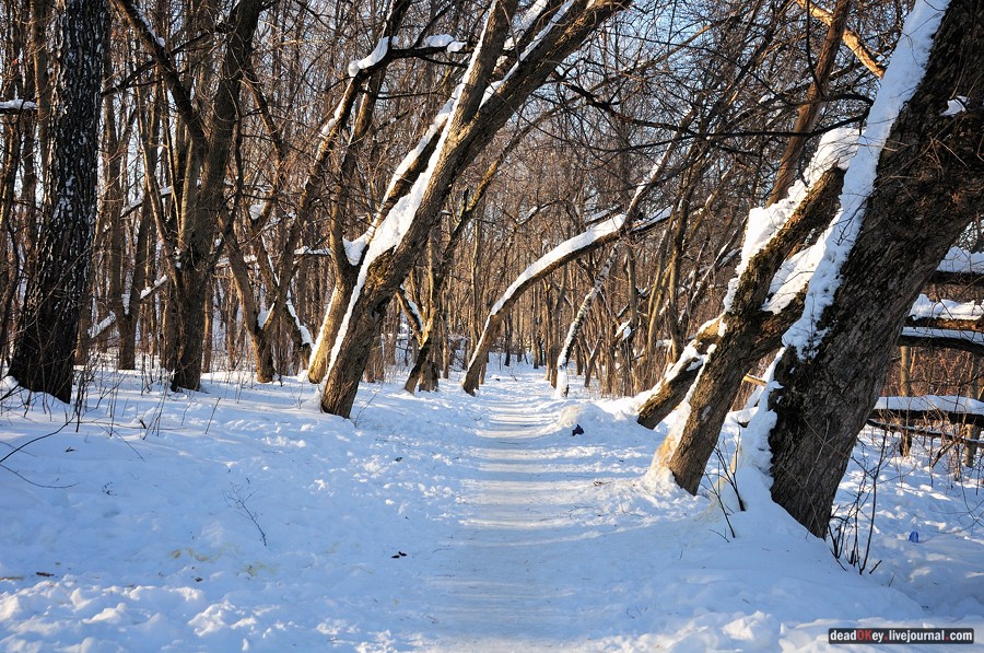 усадьба Петровское-Лобаново