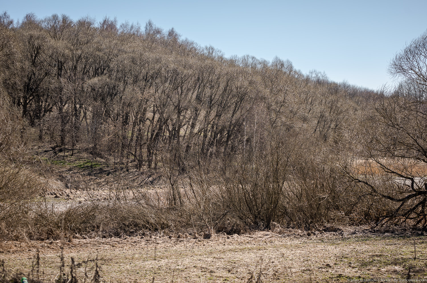 Богородицк, Церерина роща