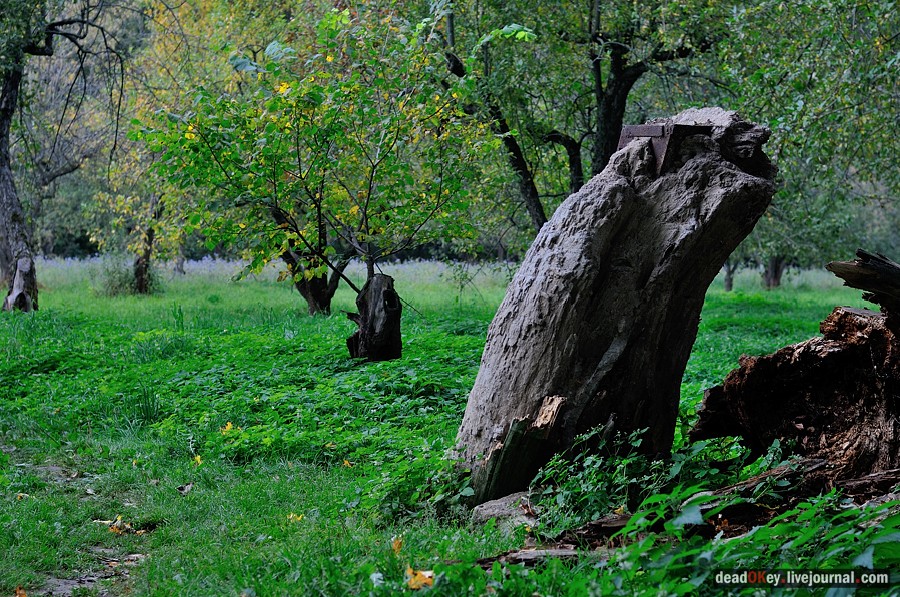 усадьба Ясная Поляна