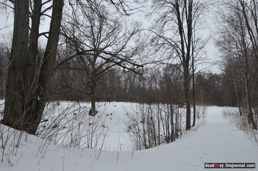 усадьба Троице-Лобаново