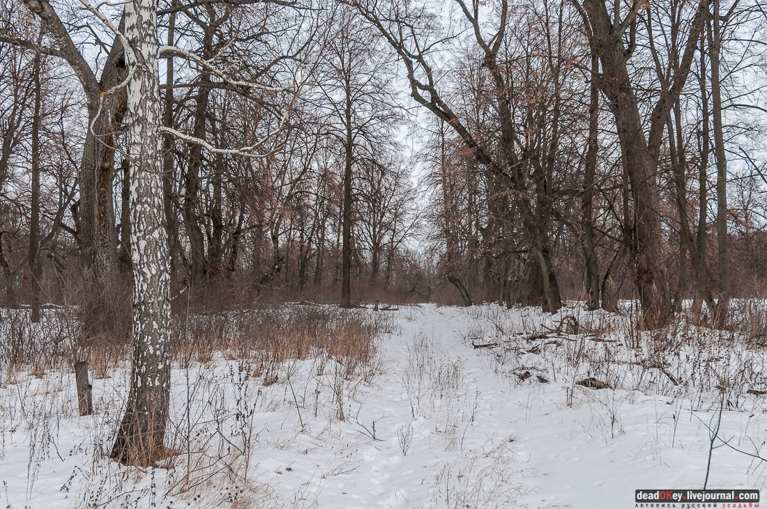 усадьба Репец