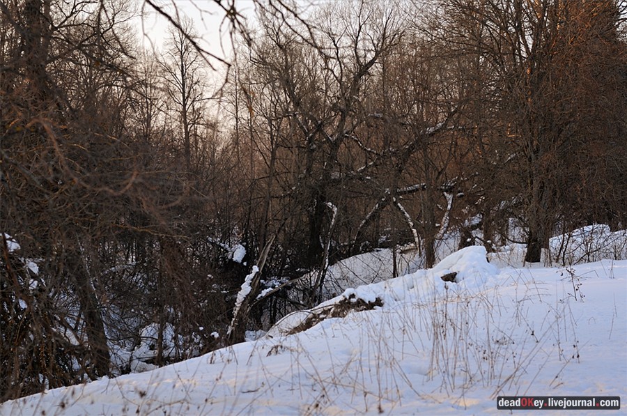 усадьба Андреевское