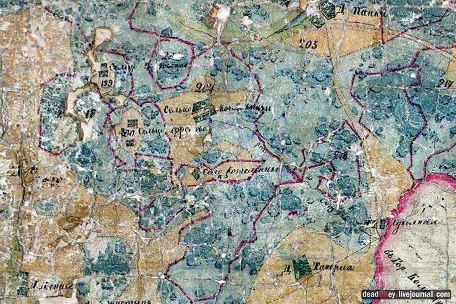 усадьба Белая Дача