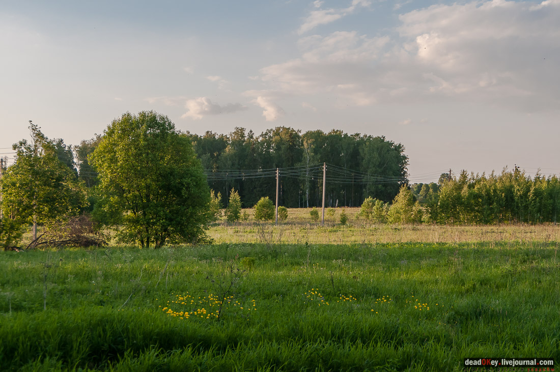 усадьба Вощажниково