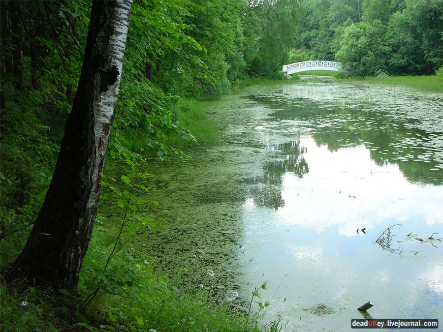 усадьба Остафьево