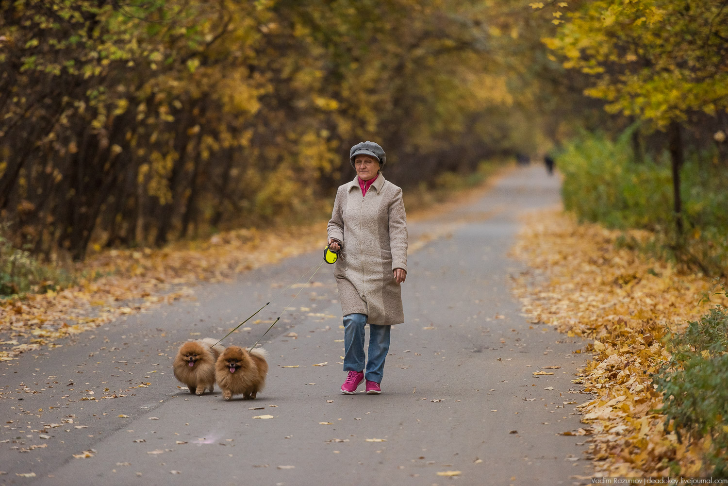 усадьба Кусково, осень 2018 года