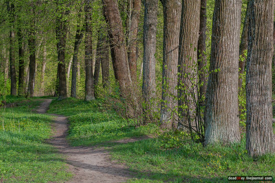 усадьба Середниково