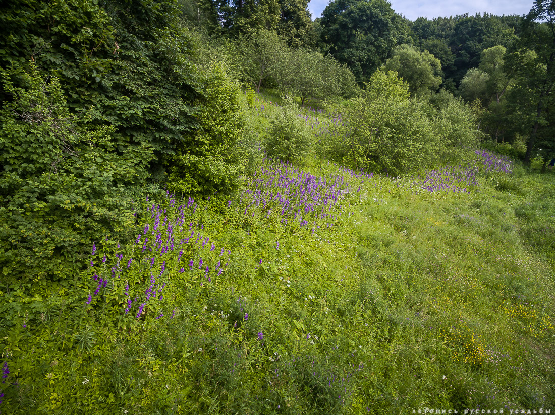 усадьба Дворяниново. В гости с дроном. Усадьба А.Т. Болотова с квадрокоптера