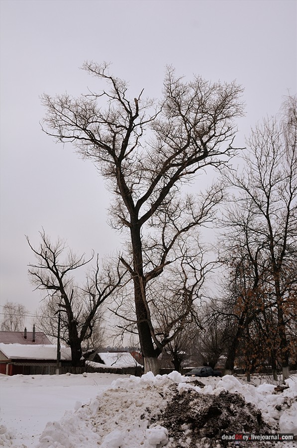 усадьба Успенское