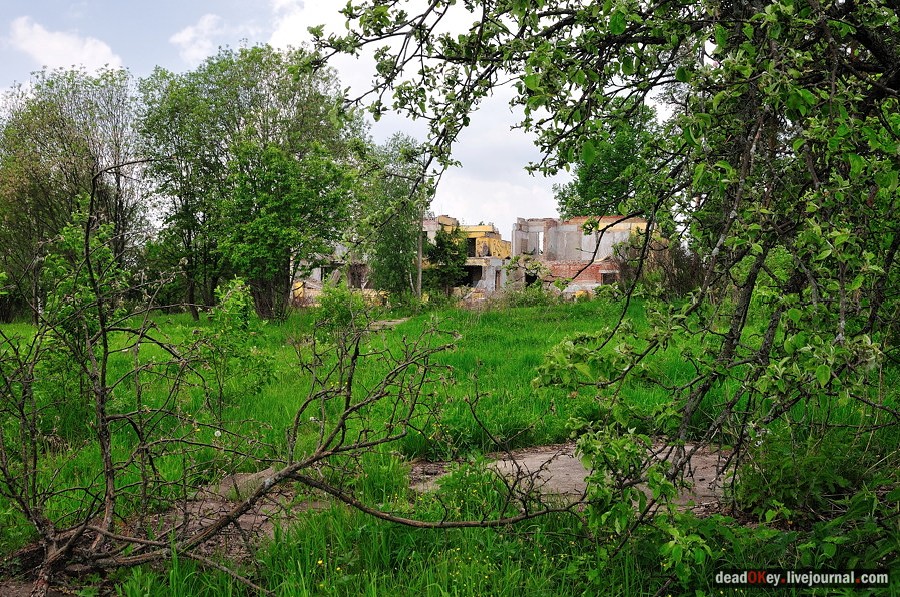 усадьба Спасское