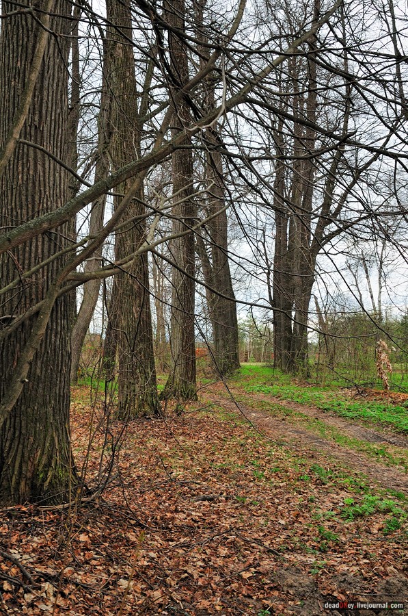 усадьба Антипино