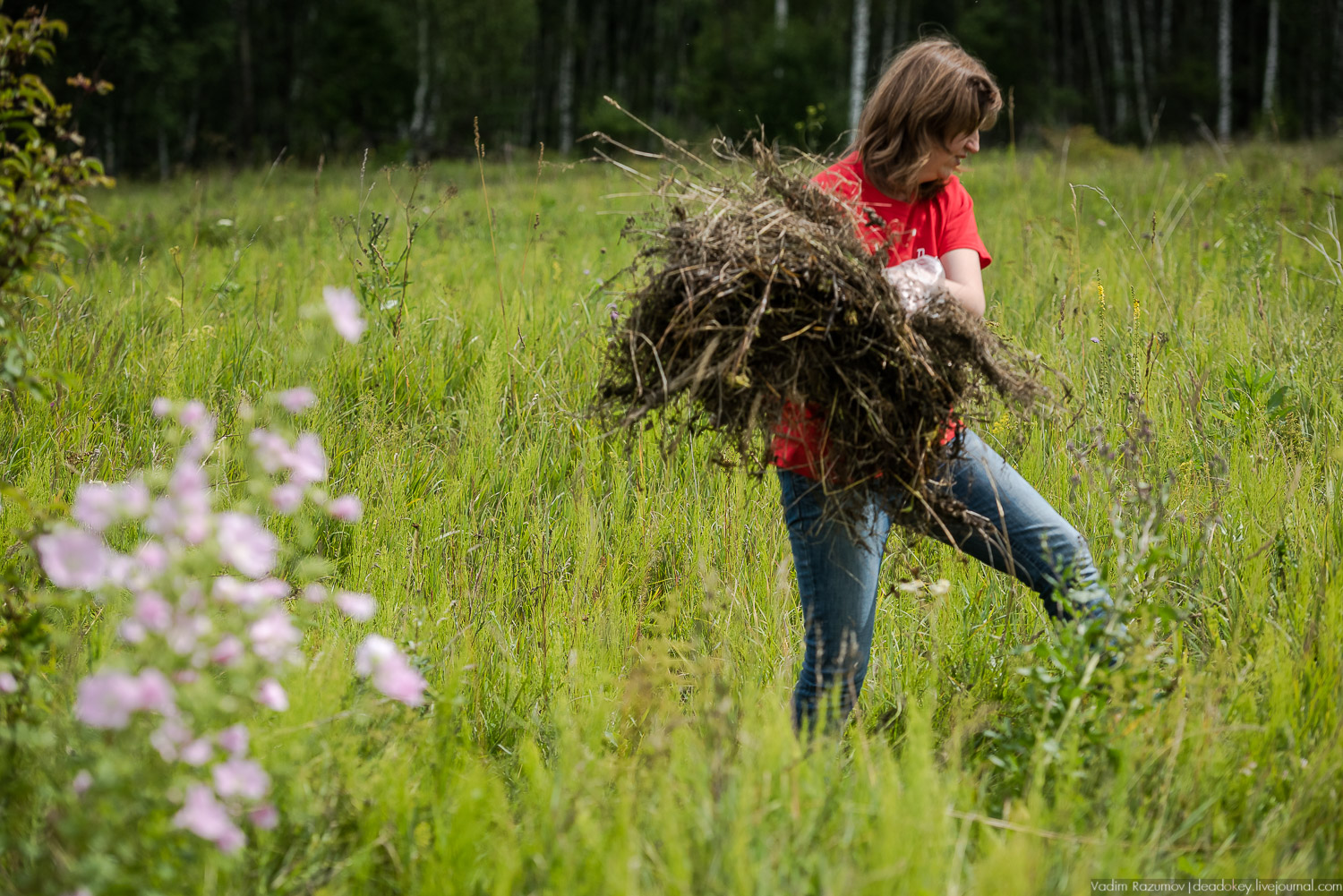 Усадебные волонтеры. Субботник на могиле В.И. Баженова, Старое Глазово, Горки