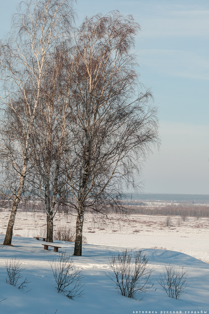 усадьба Константиново