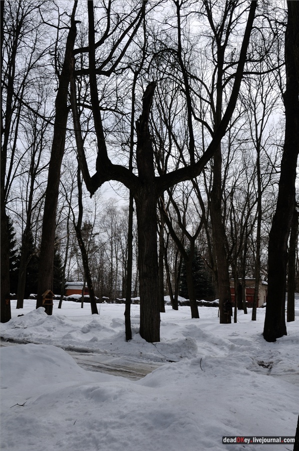 усадьба Райки