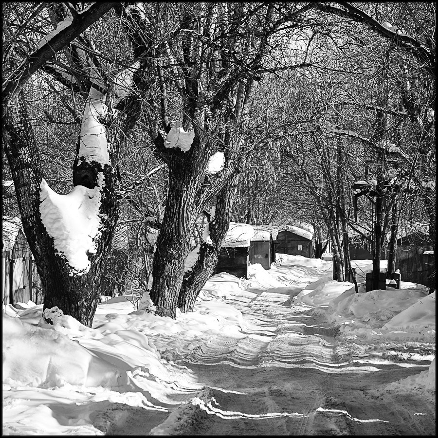 Парковые аллеи в русских усадьбах