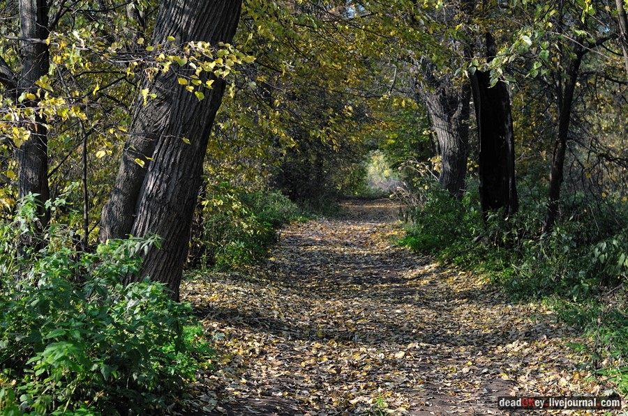 усадьба Красково