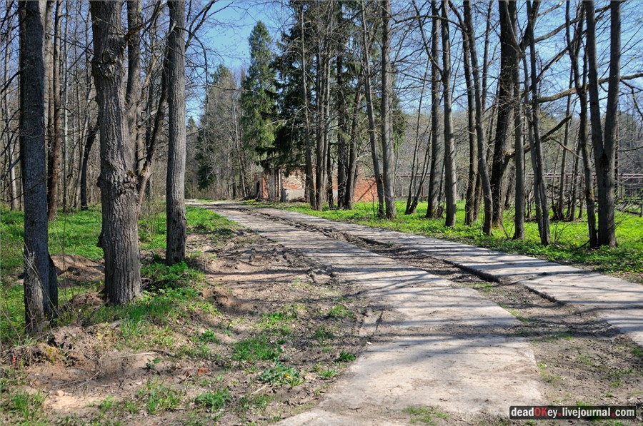 усадьба Андреевское-Туркино (Перематкино)