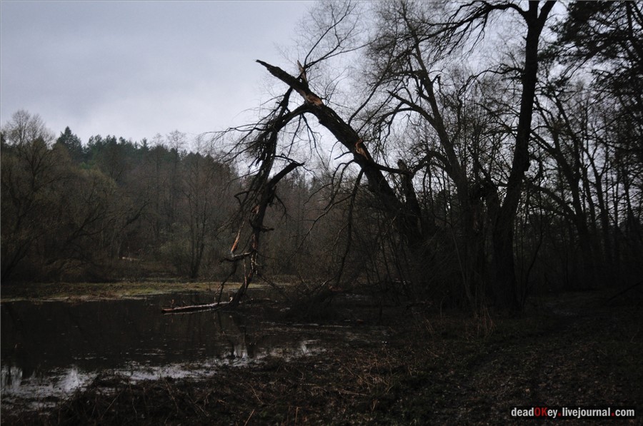 усадьба Полотняный Завод Гончаровых