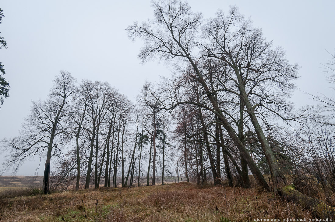 усадьба Могутово