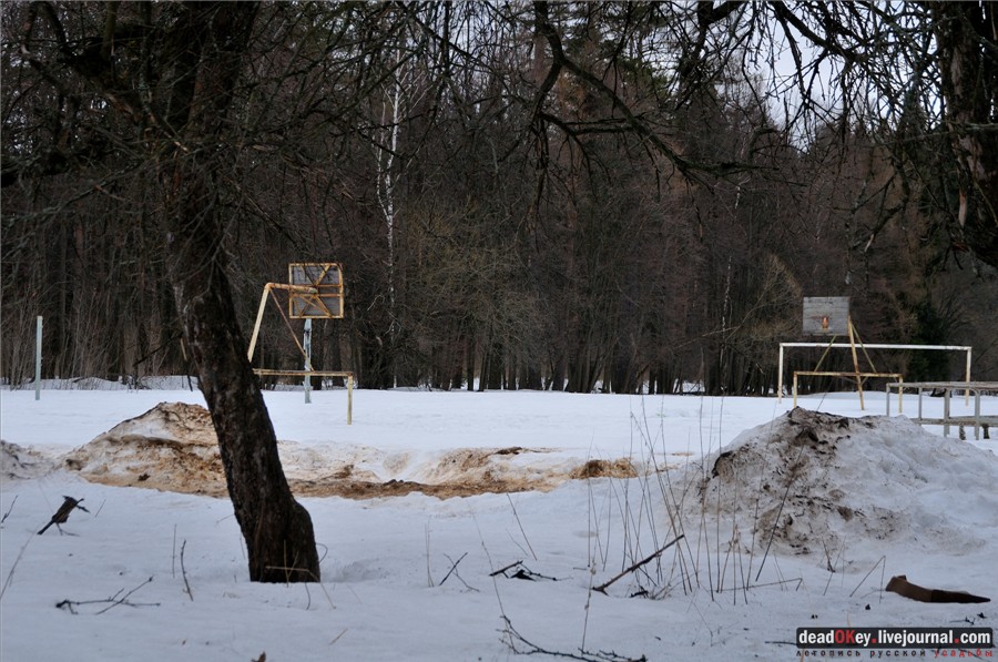 усадьба Воробьево