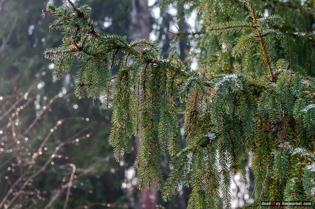 Усадьба Филатово