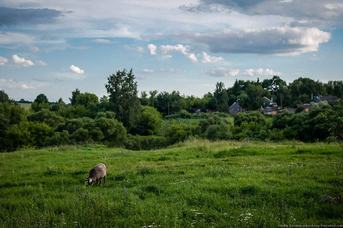 усадьба Озерки