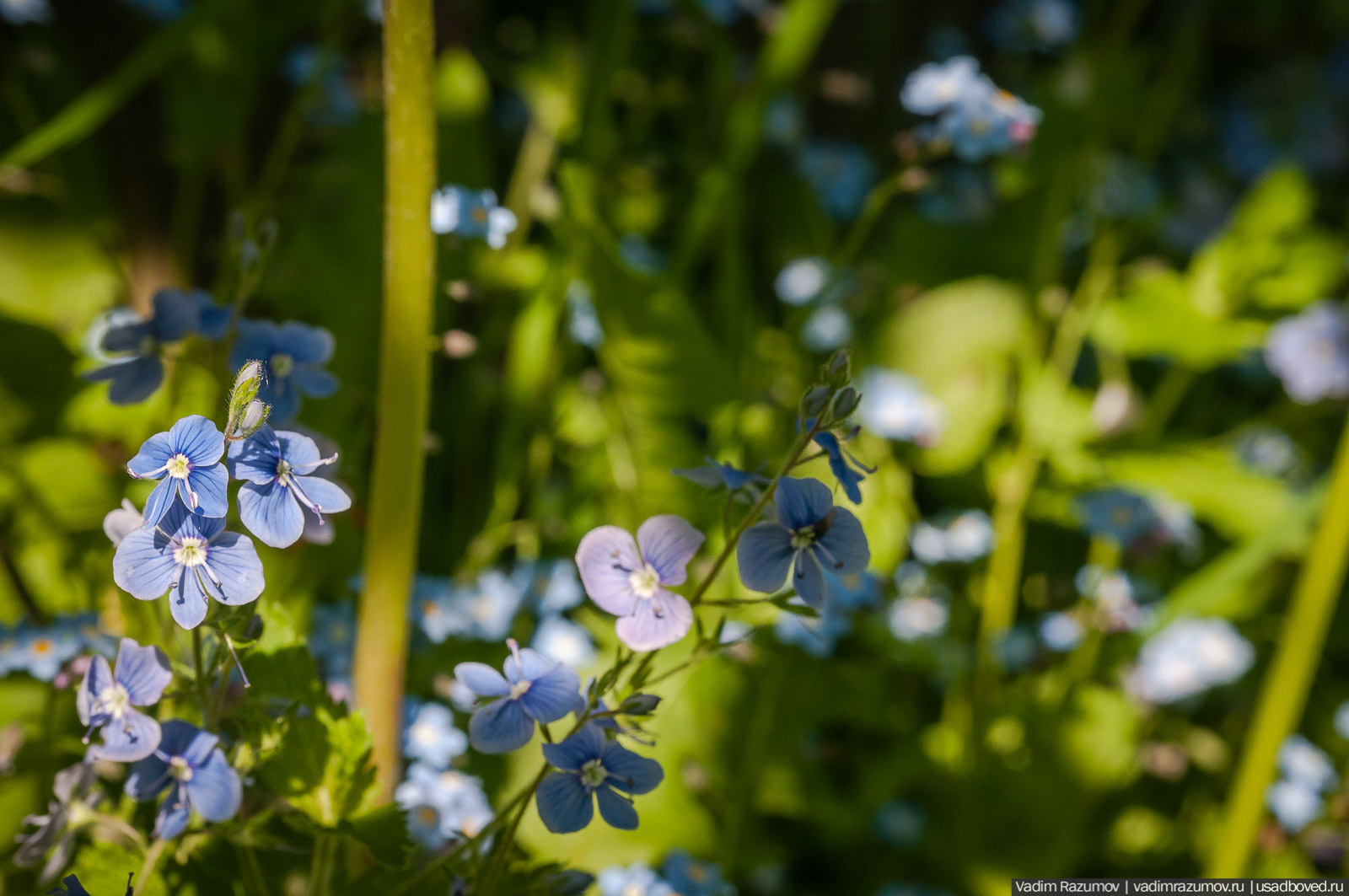 усадьба Дворяниново, Андрей Тимофеевич Болотов, Тульская область