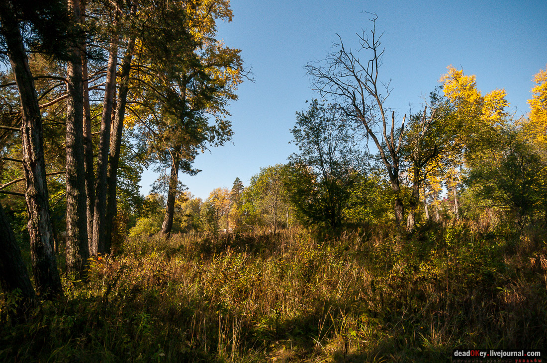 усадьба Стуловых