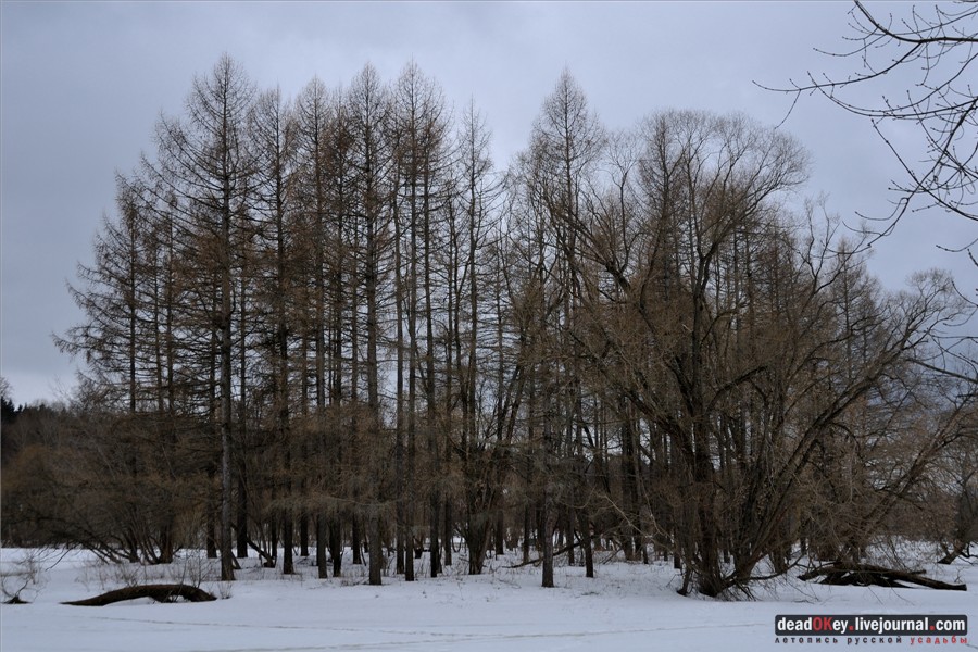 усадьба Александровка (Лопаткино)
